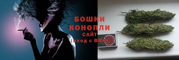 гидра Арсеньев