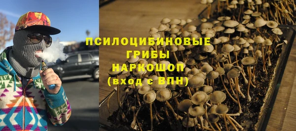 гидра Арсеньев