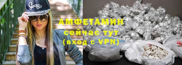 гидра Арсеньев