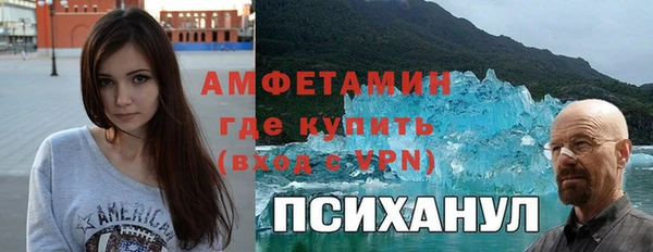гидра Арсеньев